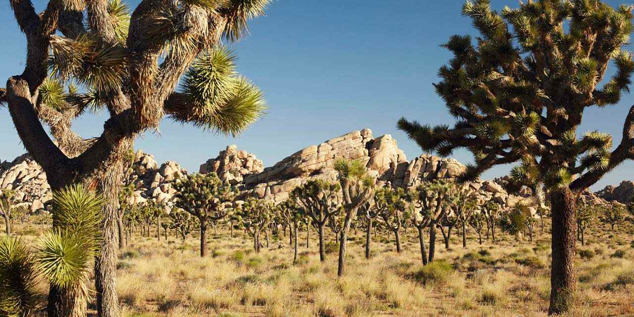 Best Park Near Our RV Park